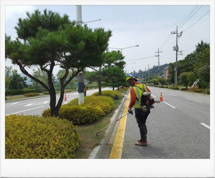 효림묘원 이미지