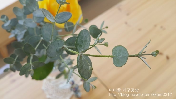 만원행복청소 이미지