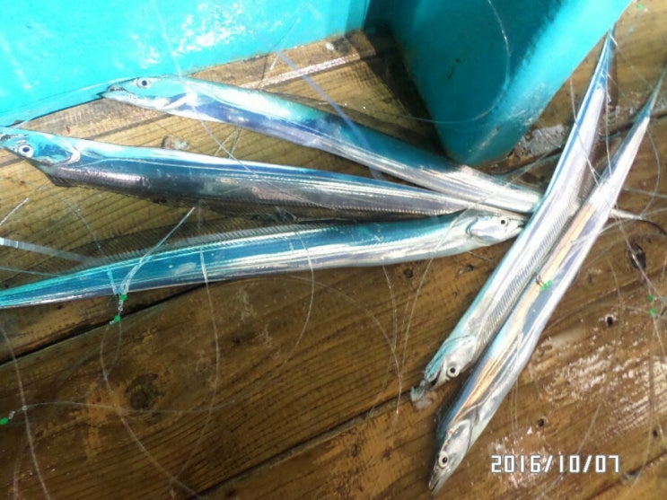 레전드호 이미지