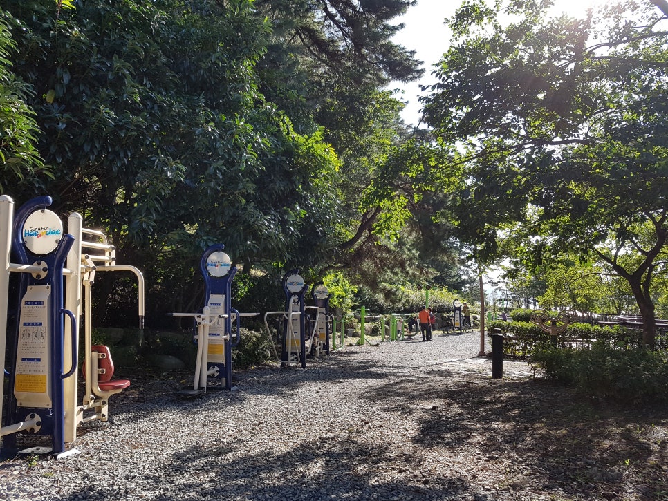 Dongbaek Island