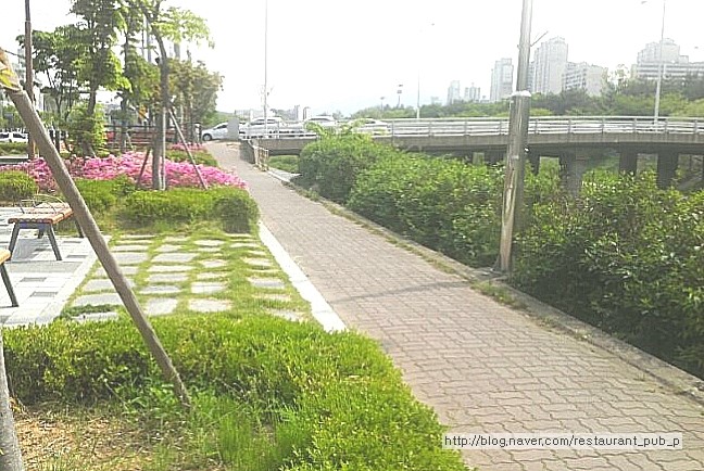 레스토랑펍피 이미지