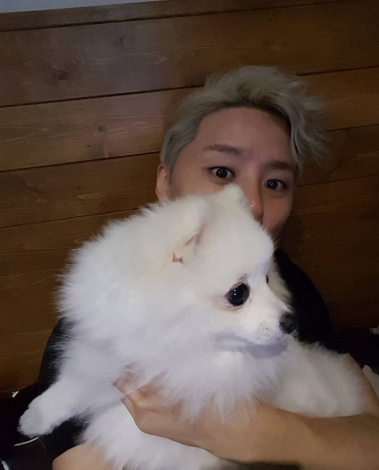 피카 이미지