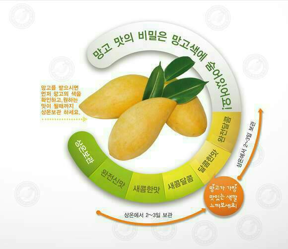망고시스템 이미지