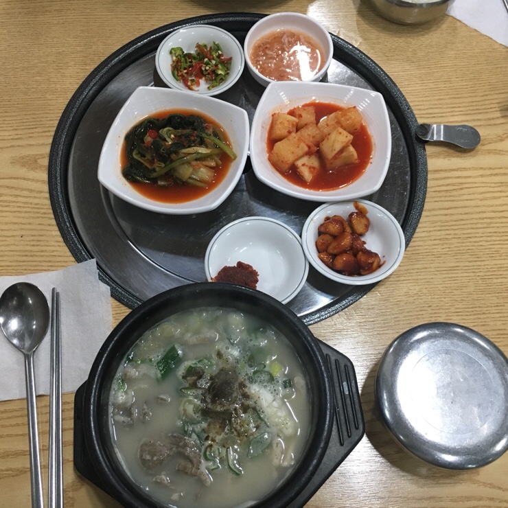 송죽잎 이미지