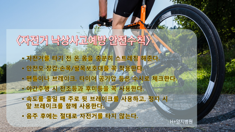 양지자전거 이미지