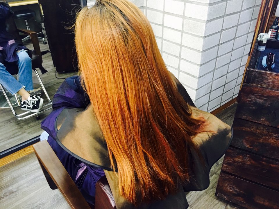 바베네헤어 이미지