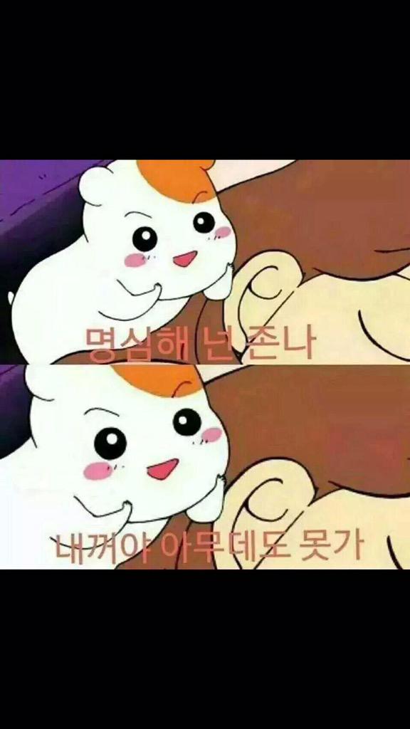 미스엘라 이미지