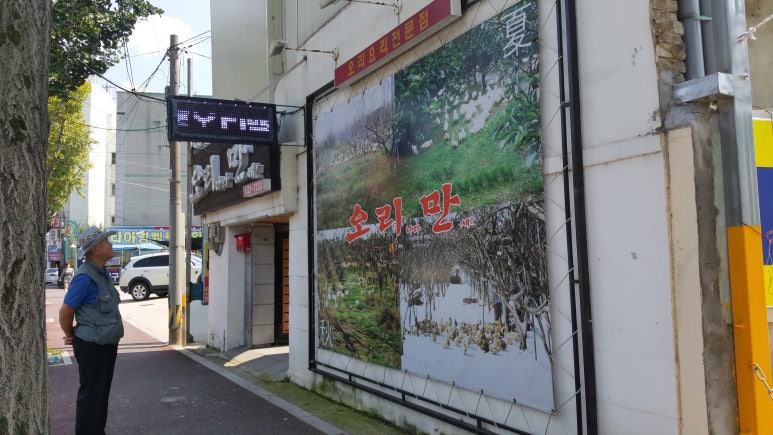 오리나라만세 이미지