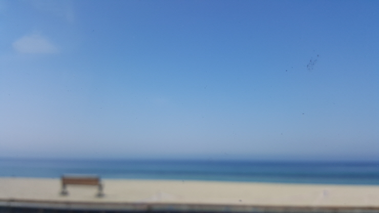 엘빈 이미지