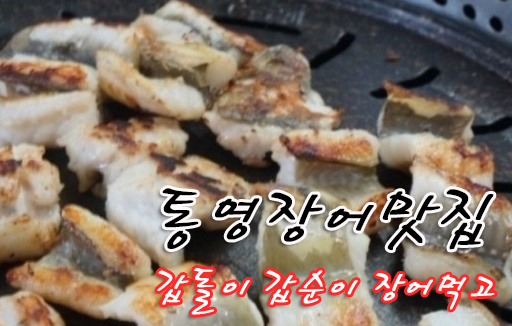 통영장어 이미지