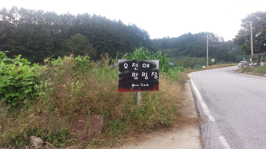 오전애권역 이미지