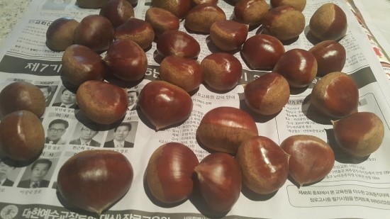 (주)그루온 이미지