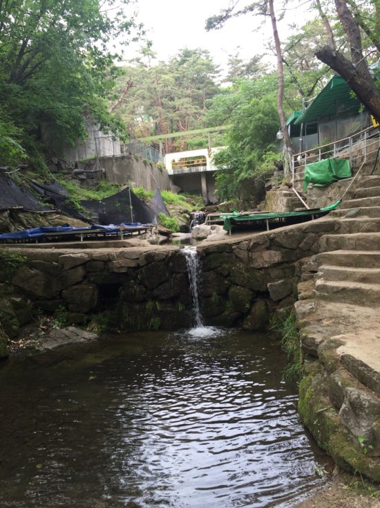 불암산수가든 이미지