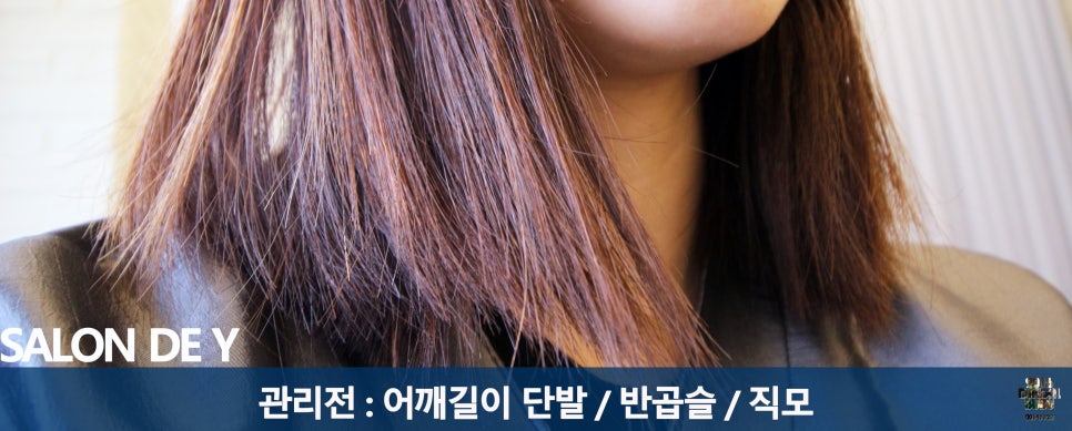 SALON DE Y(살롱드와이) 이미지