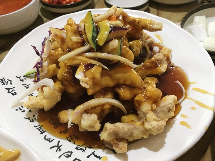 차이넥스 이미지
