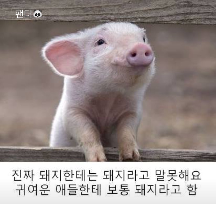 김부삼 이미지