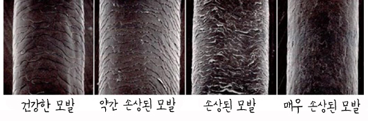 천연염색퀸즈헤나 이미지