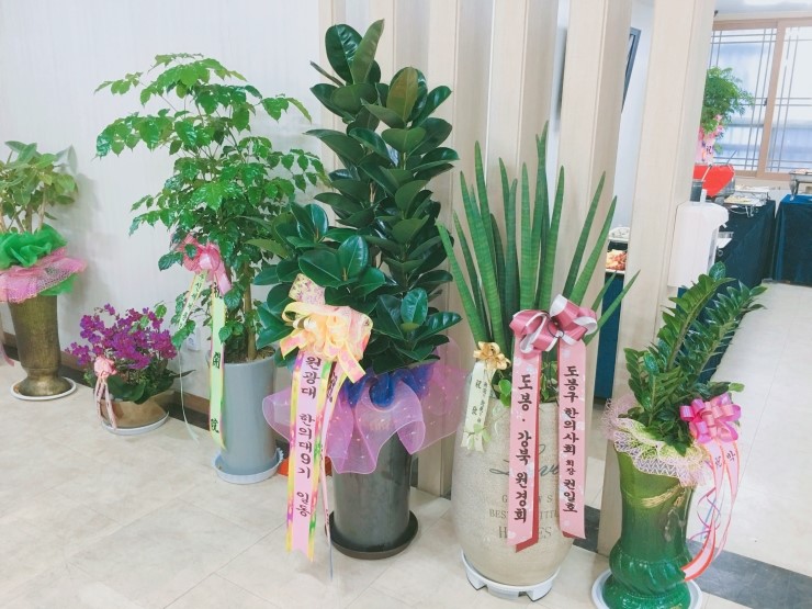 중앙효요양병원 이미지