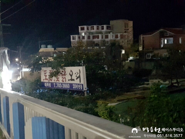 청사포토종옻닭 이미지