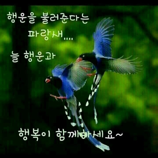 대한힐링 이미지
