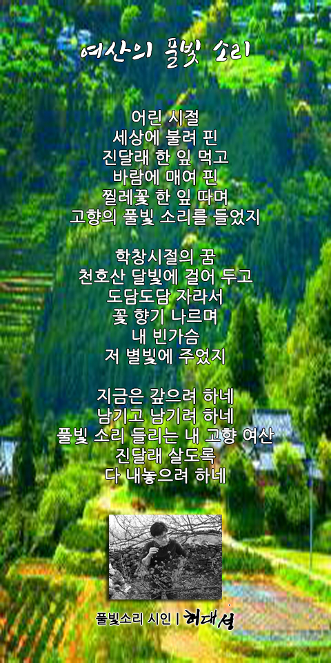 풀빛소리 이미지