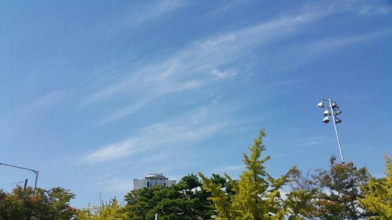 오늘하루 이미지