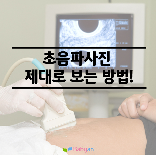 초음파사진 제대로 보는 방법! : 네이버 블로그