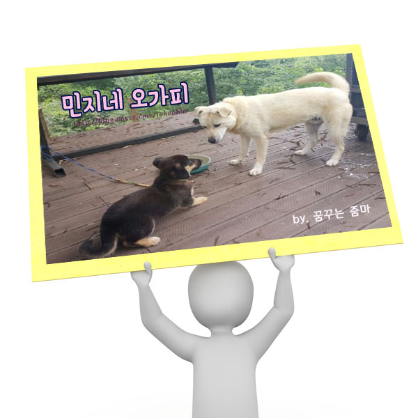 미스터디자인 이미지