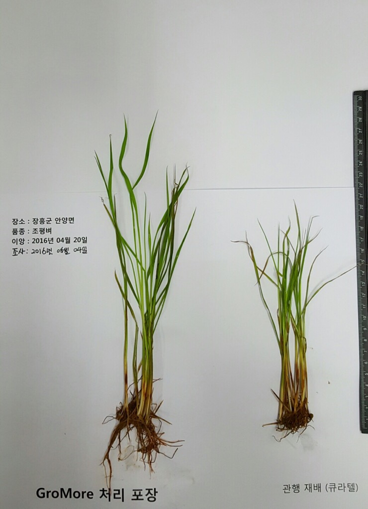 전남농약사 이미지