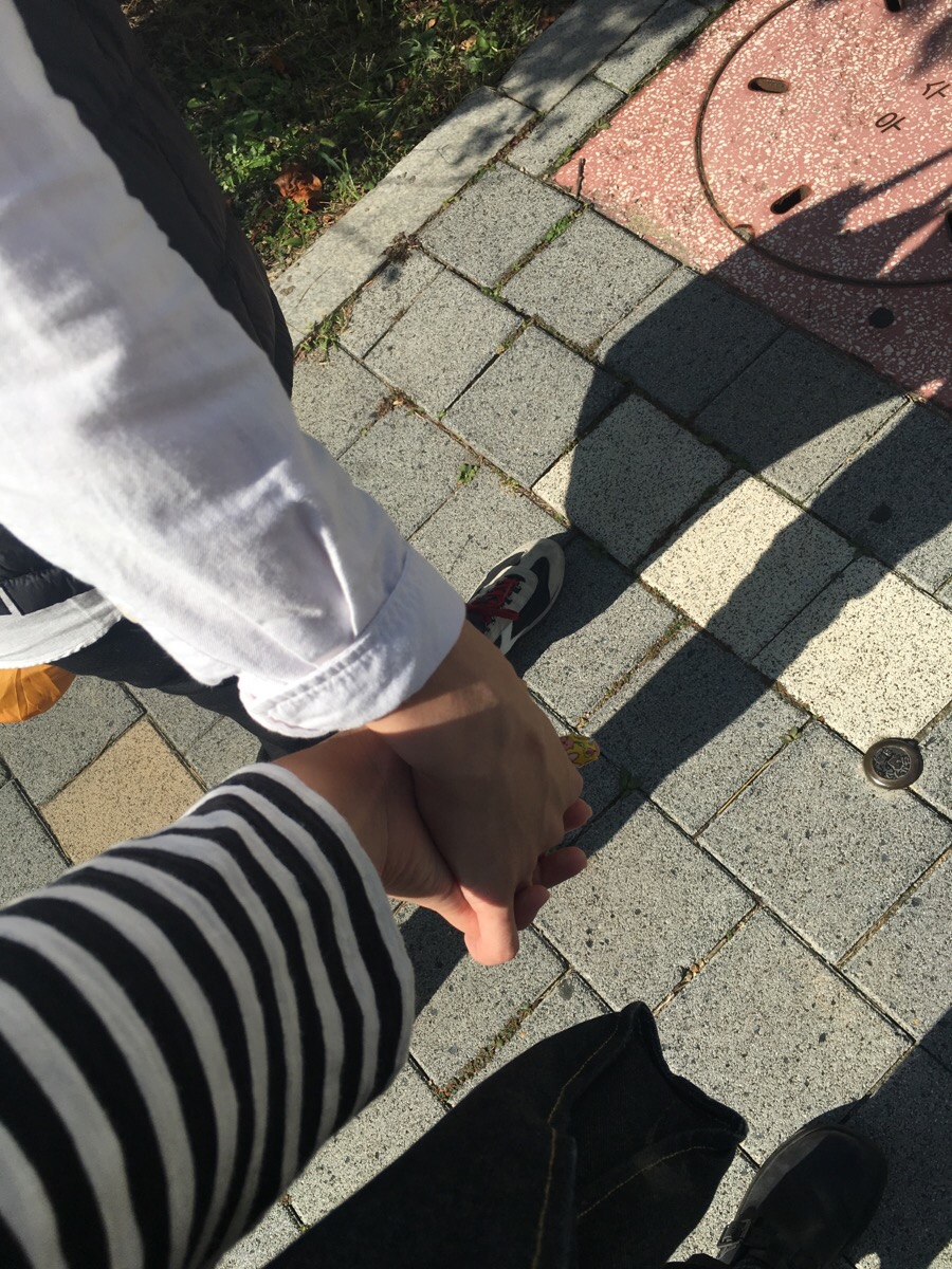 꼼닭 이미지