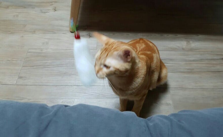 놀아줘 이미지