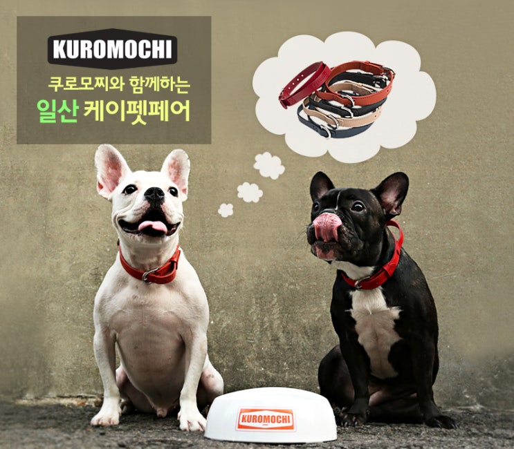 케이모찌 이미지