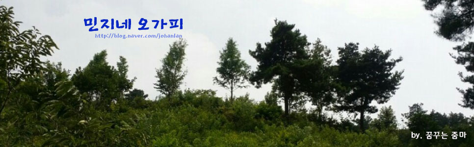 미스터디자인 이미지