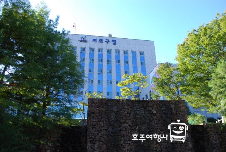 효주여행사 이미지