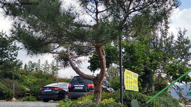 황톳골두부마을 이미지