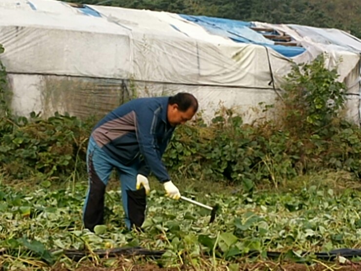 지리산 함양 허농부 이미지
