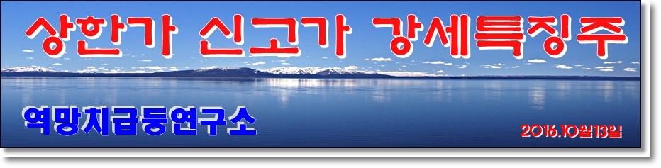 사보이이앤엠 이미지