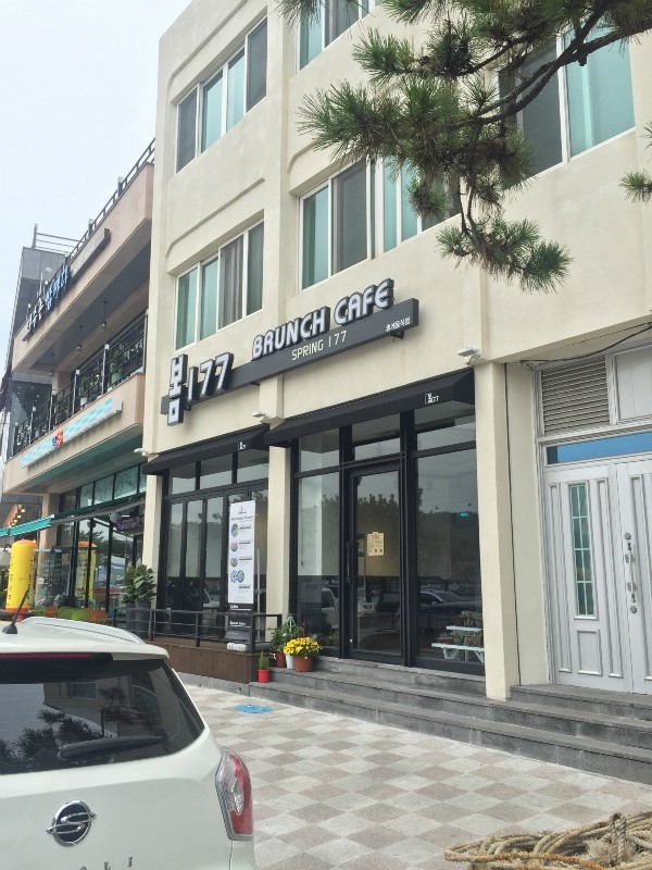봄177 이미지