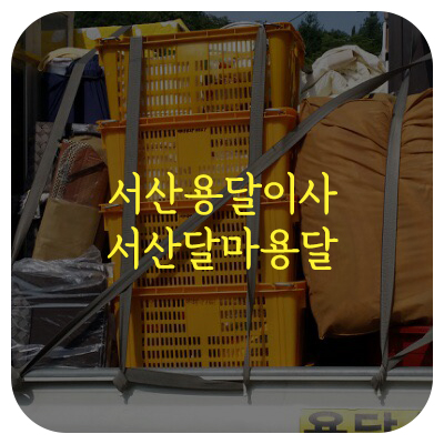달마짐 이미지
