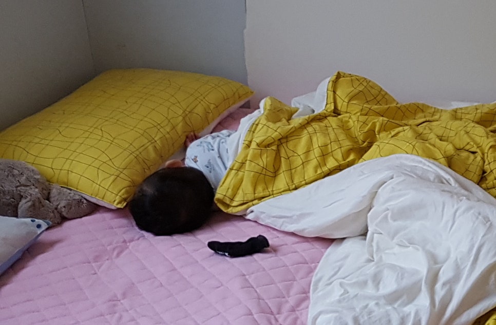 릴리펏 동대문점 이미지