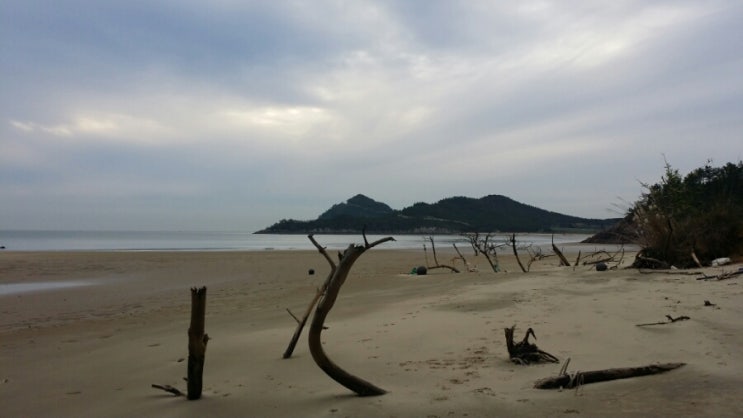 해변산책민박 이미지