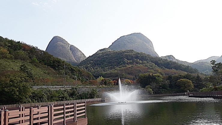 천지홍삼 이미지