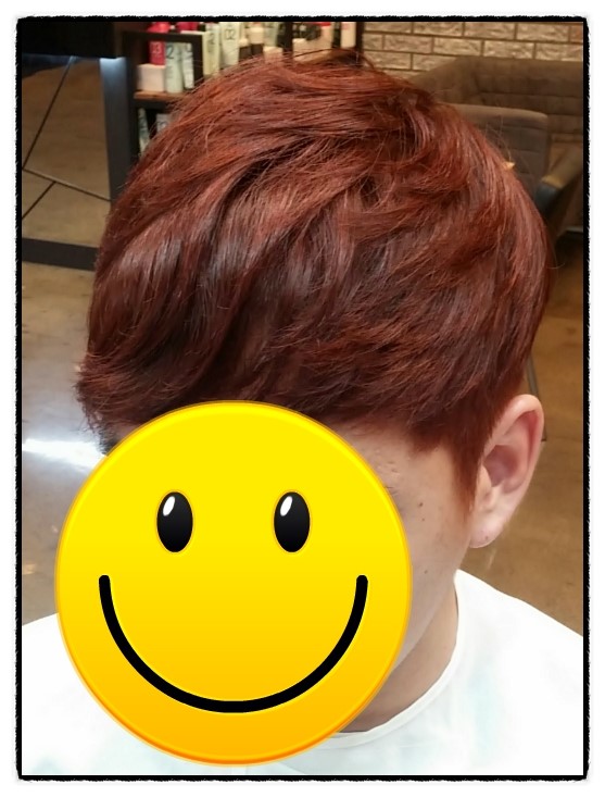 트레보헤어 이미지