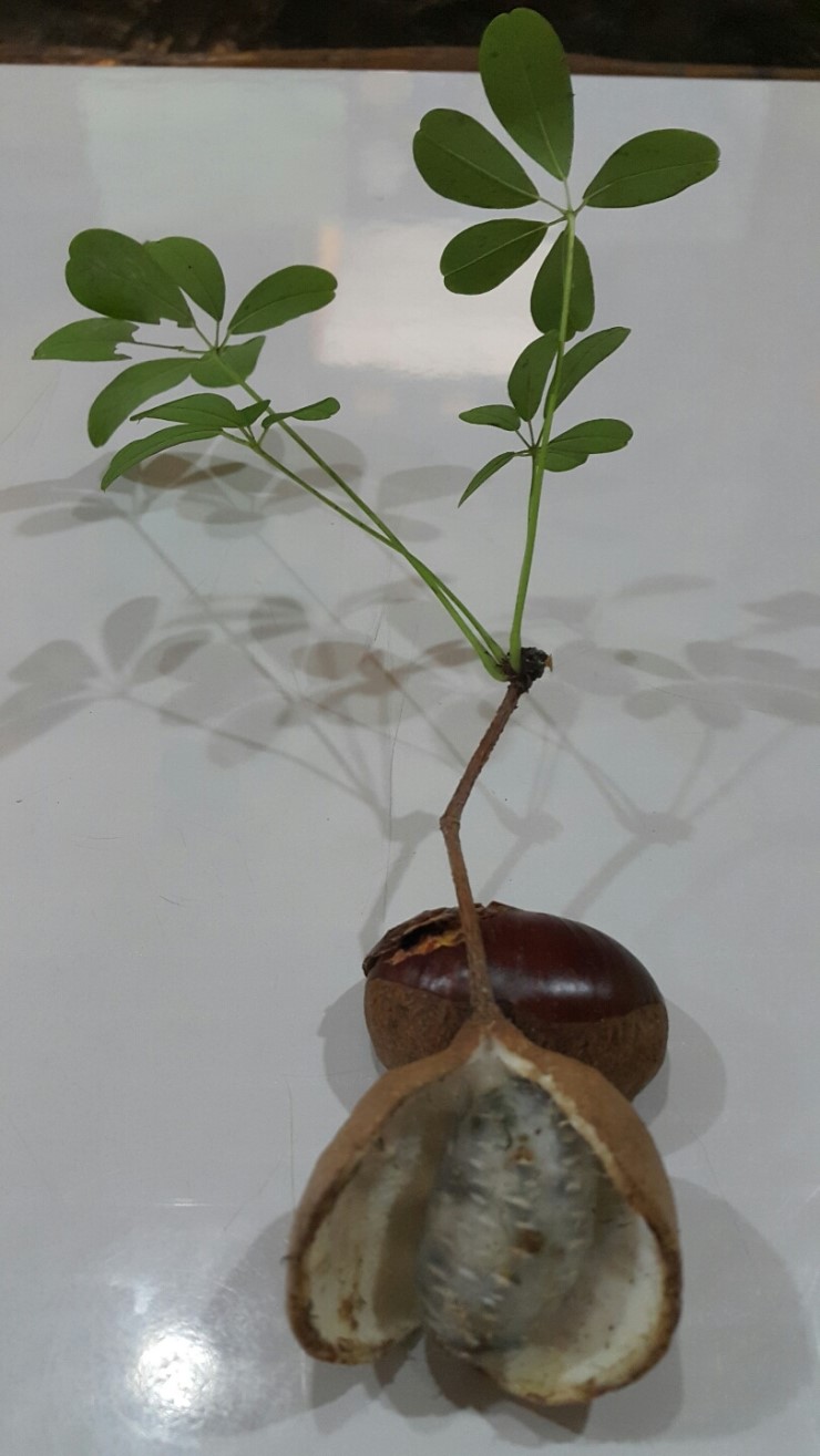 운학골 이미지