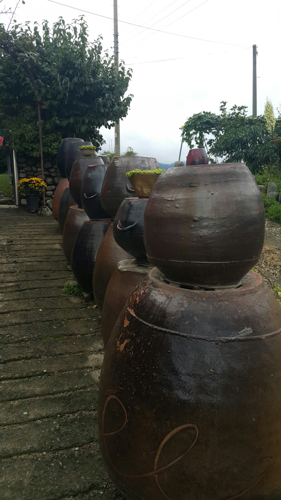 감로농원 이미지