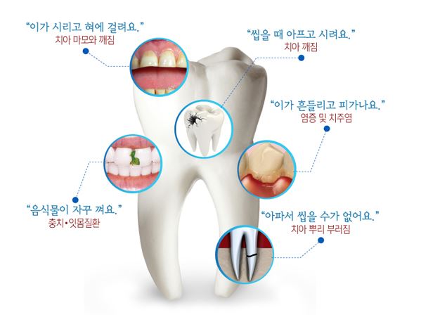 로덴치과의원 이미지