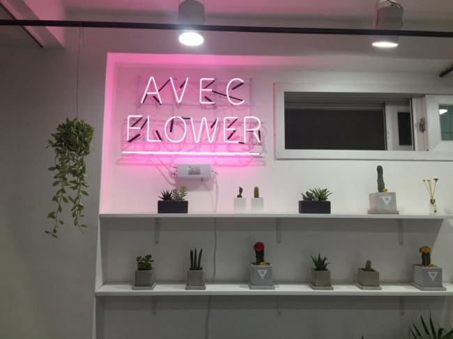 아베크플라워 이미지
