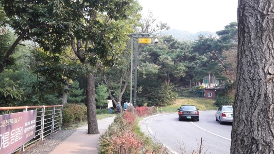 선일사 이미지