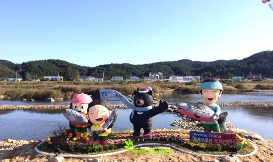 양양군청 이미지