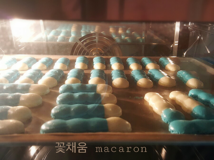 꽃채움 이미지